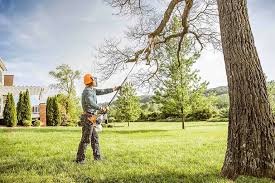 Lawn Pest Prevention in Yeagertown, PA