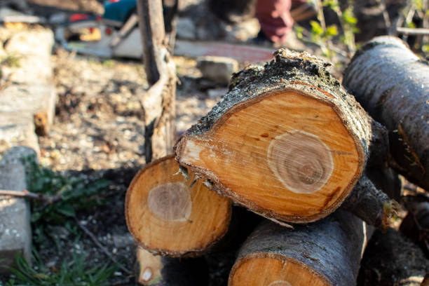 Mulching Services in Yeagertown, PA
